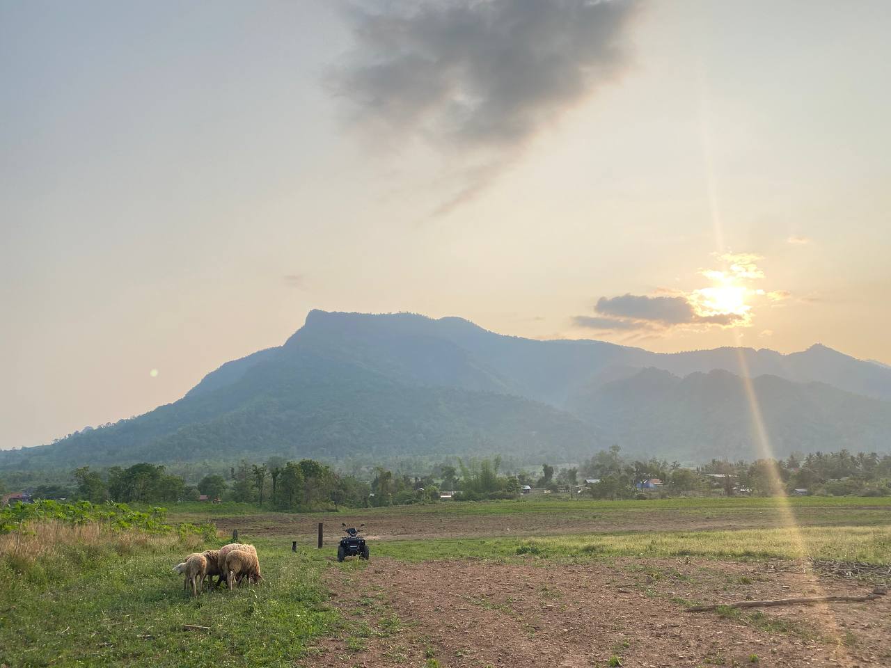 Phnom Samkos cow expansion