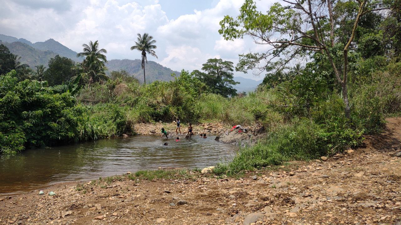 Phnom Samkos cow expansion