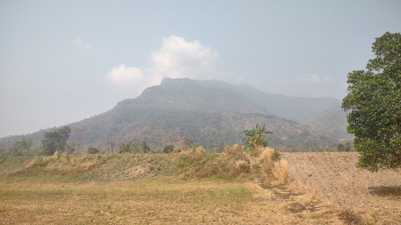 Phnom Samkos cow expansion