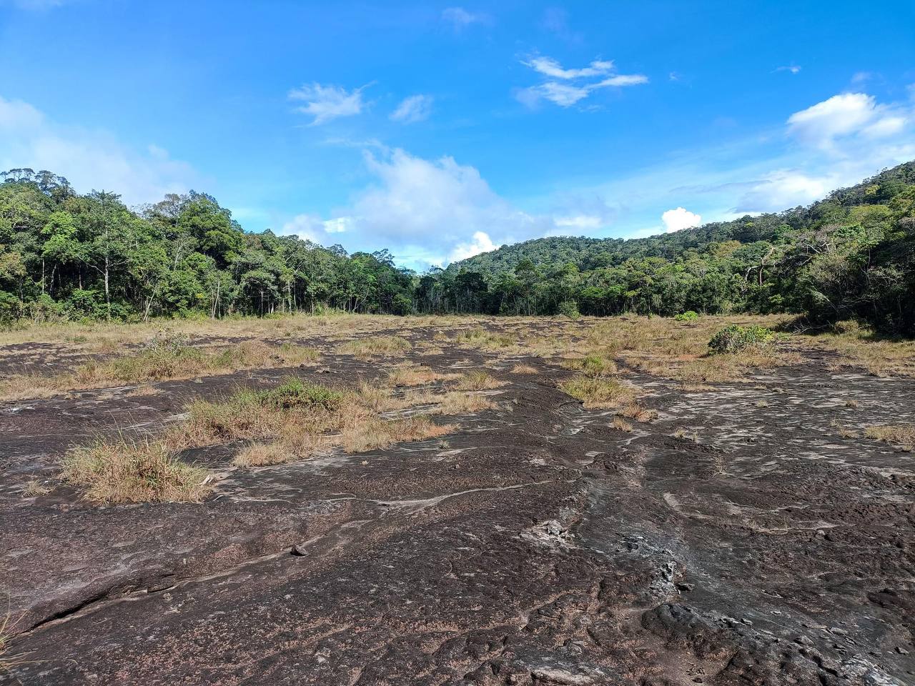 Forest interior along hiking trail in Phnom Samkos