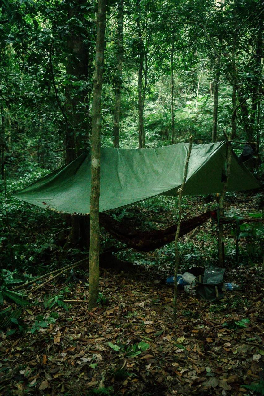Phnom Samkos Wildlife Sanctuary primary forest viewed from ridgeline trail