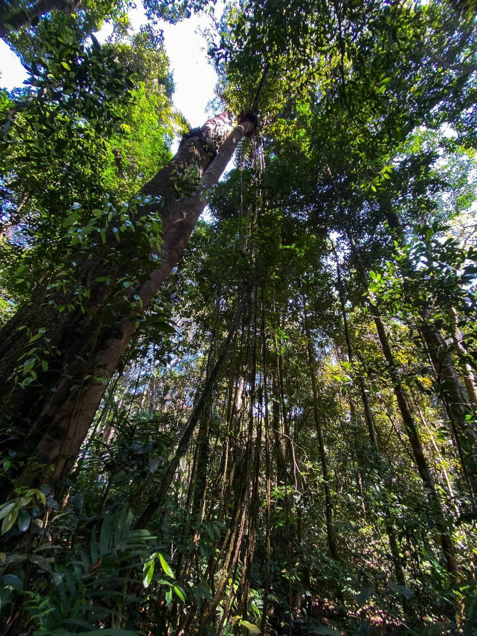 Varied terrain in Phnom Samkos Wildlife Sanctuary