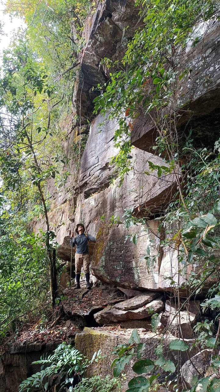 Marked trail through primary forest in Cambodia