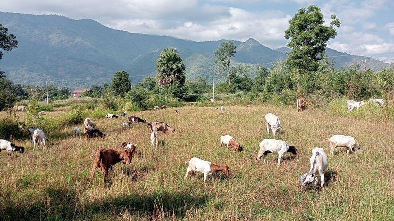 Conservation efforts in 2023