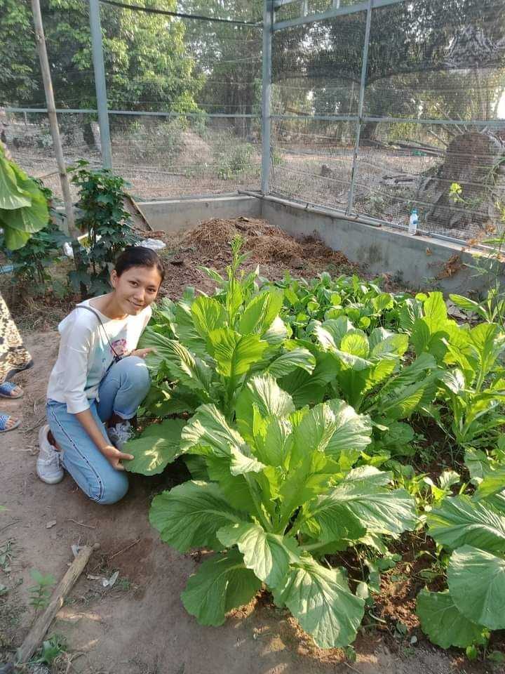 Household food production in a GSO community