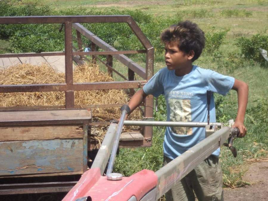 Young boy operating hand tractor on dirt path