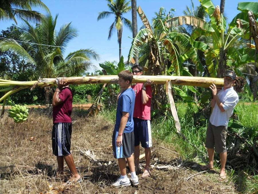 Volunteers carrying banana tree trunk through tropical vegetation