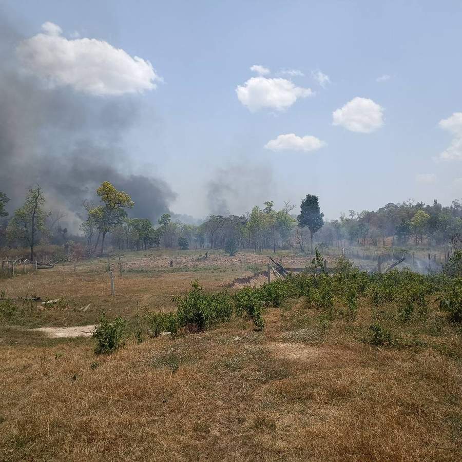 Smoke rising from forest clearing fire in distance
