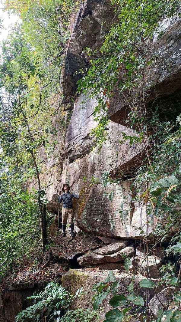 Person standing on rocky cliff face in dense forest