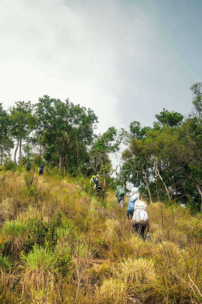 Hikers walking up grassy hillside trail