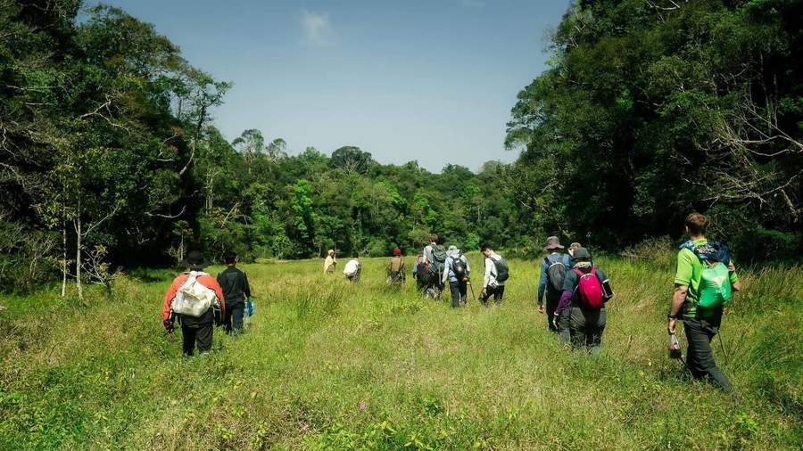 Group of hikers walking through grassy field toward forest