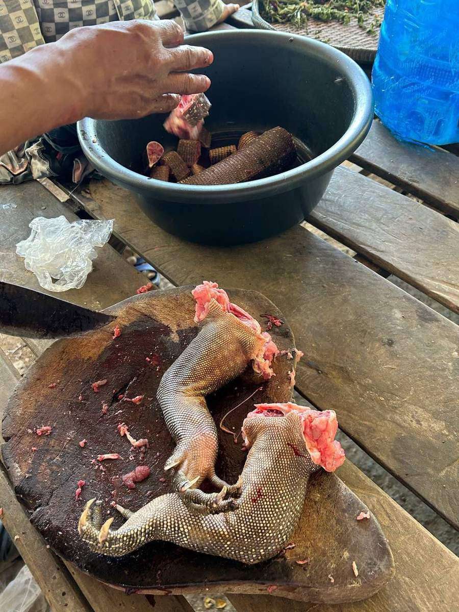Pangolin scales on cutting board documenting wildlife crime