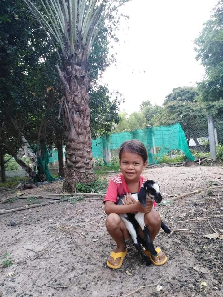 Young girl sitting holding small black and white goat
