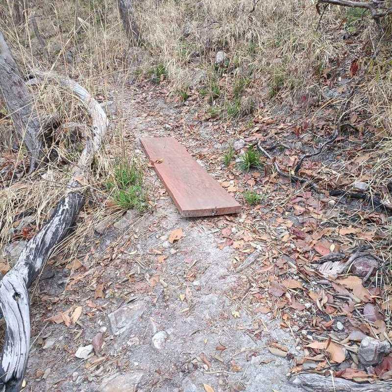 Seized wooden plank lying on forest floor among dead branches