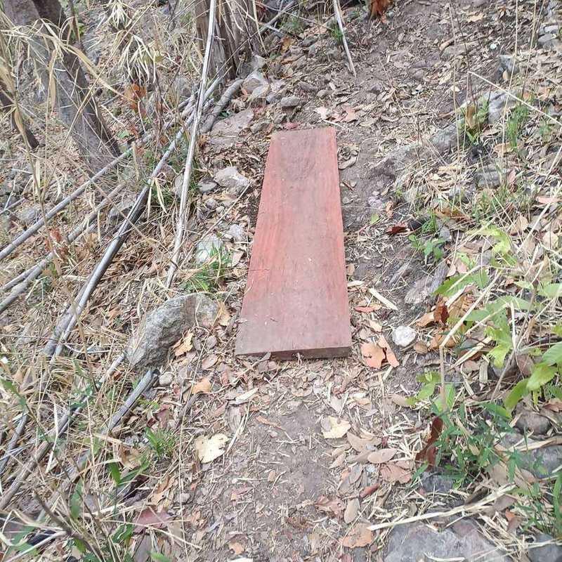 Seized wooden plank lying on rocky forest path near bamboo