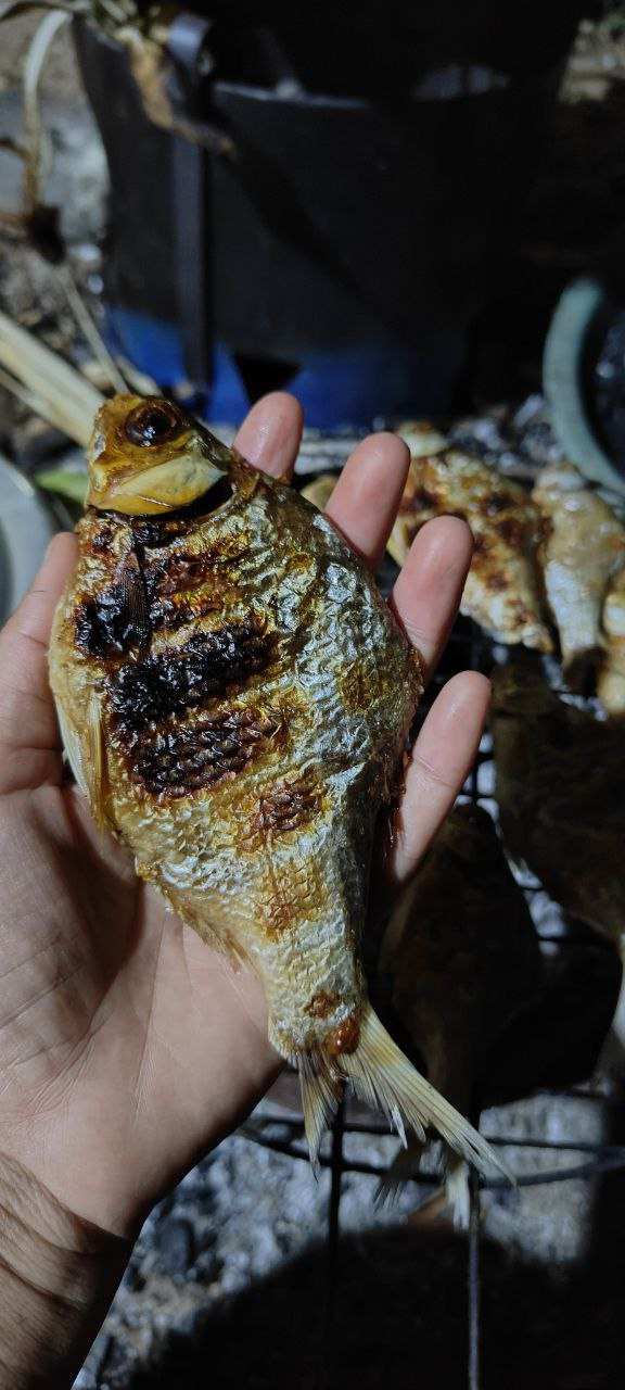 Hand holding grilled fish over charcoal grill