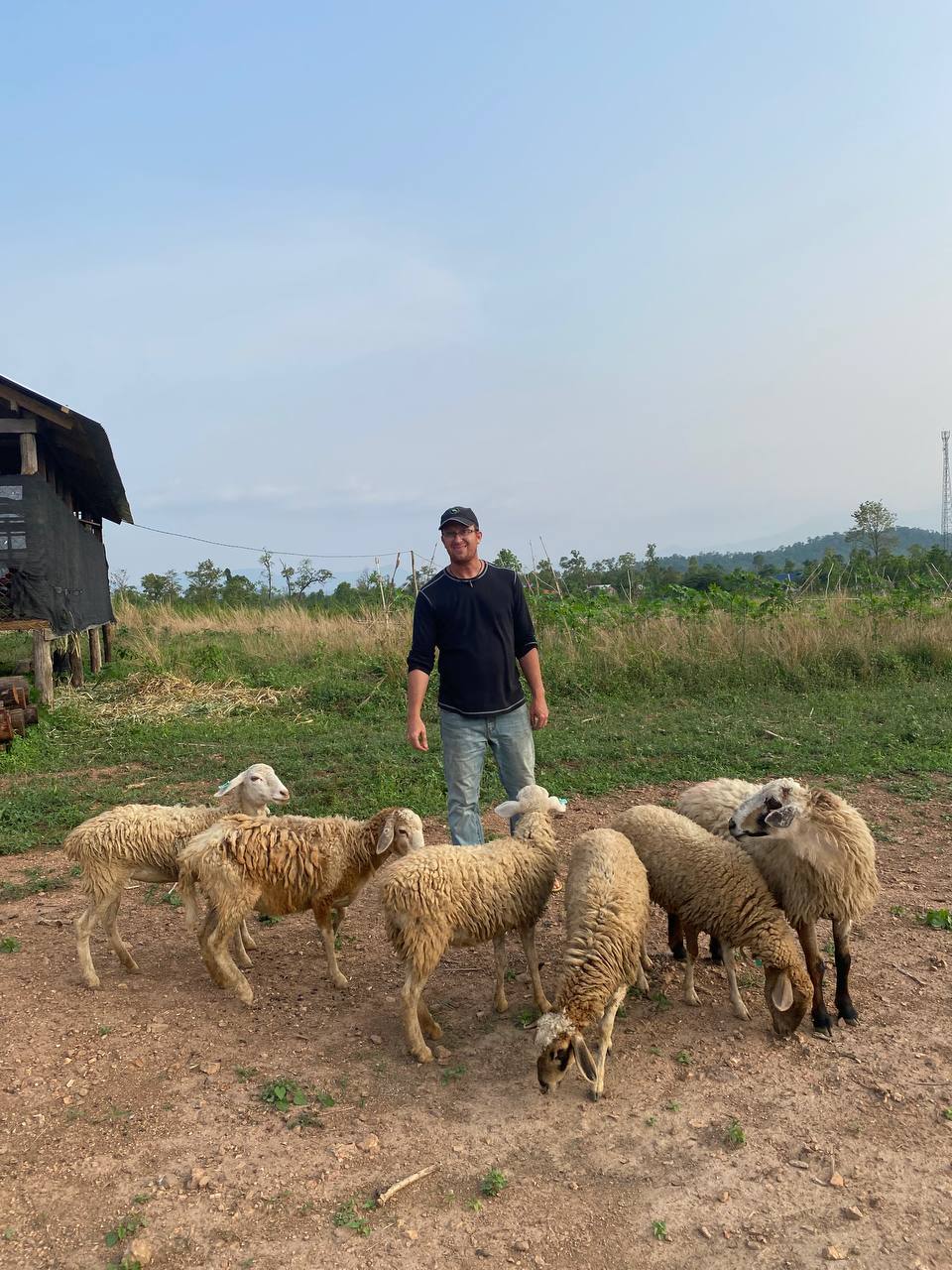 Sheep pilot project — Phnom Samkos Wildlife Sanctuary