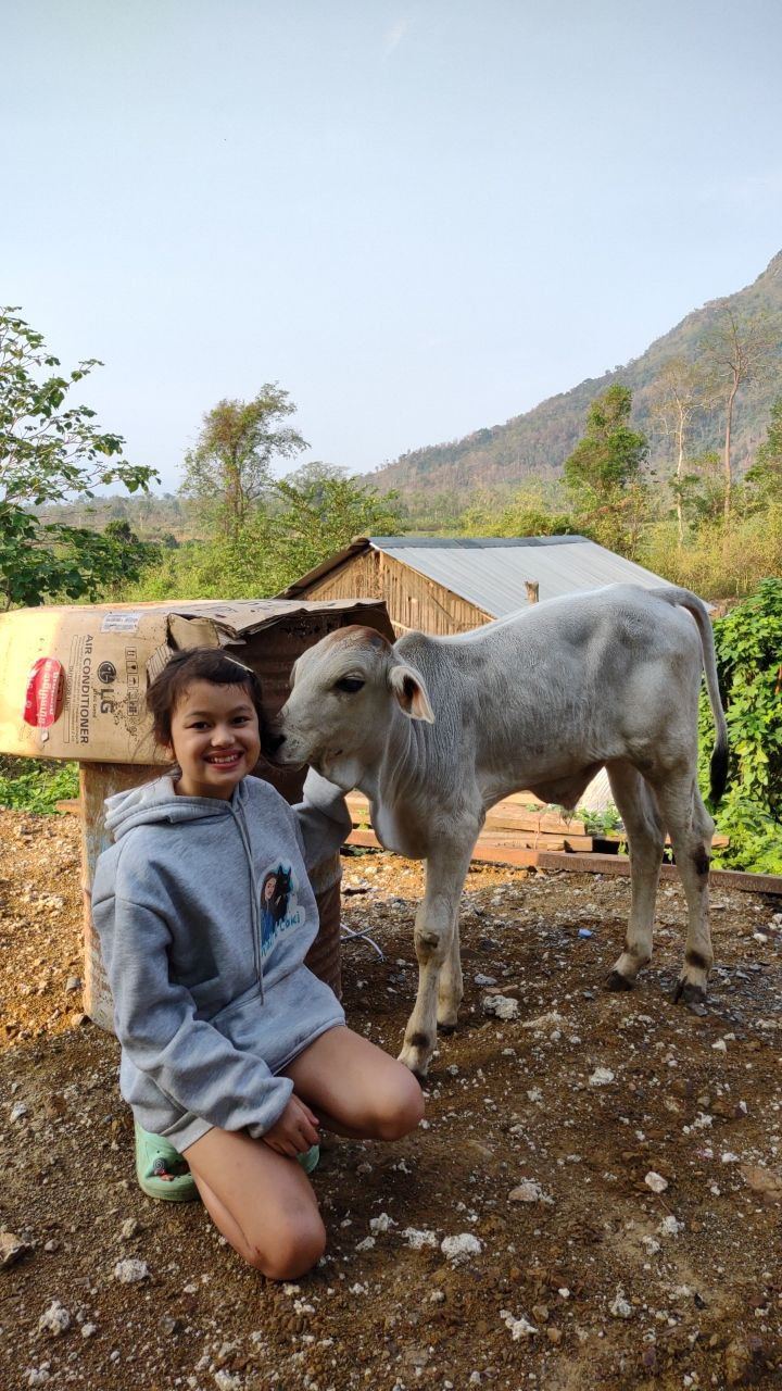 Volunteer experience in rural Cambodia