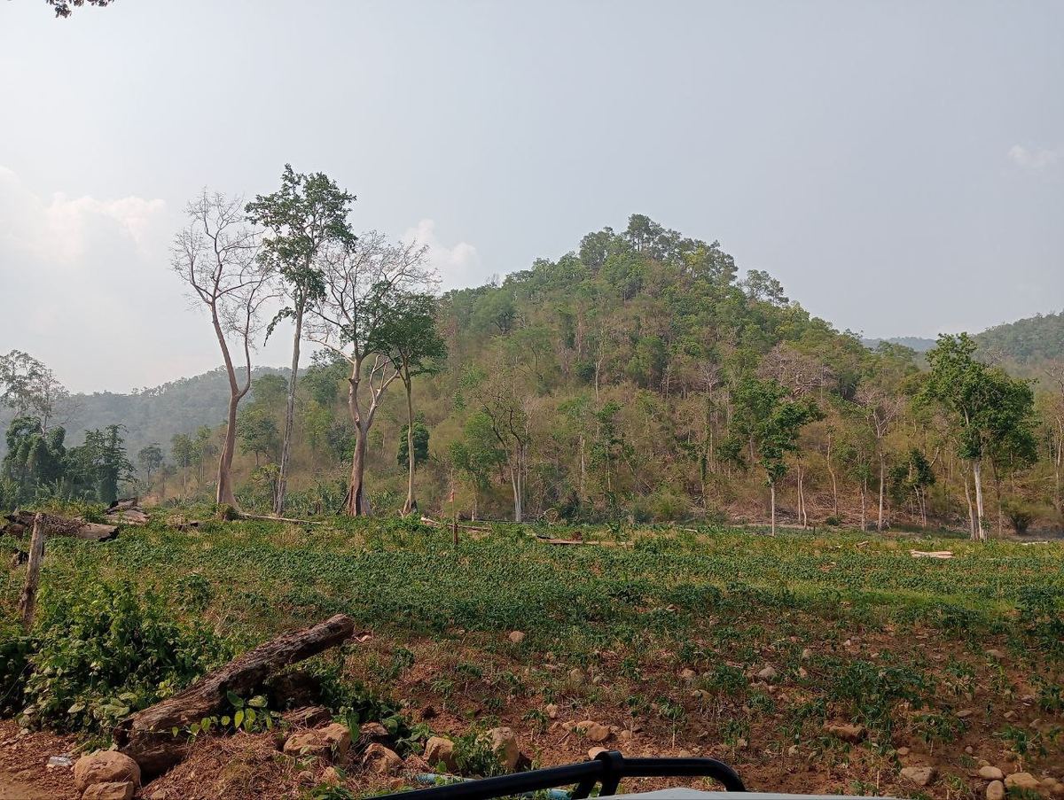 Volunteer experience in rural Cambodia