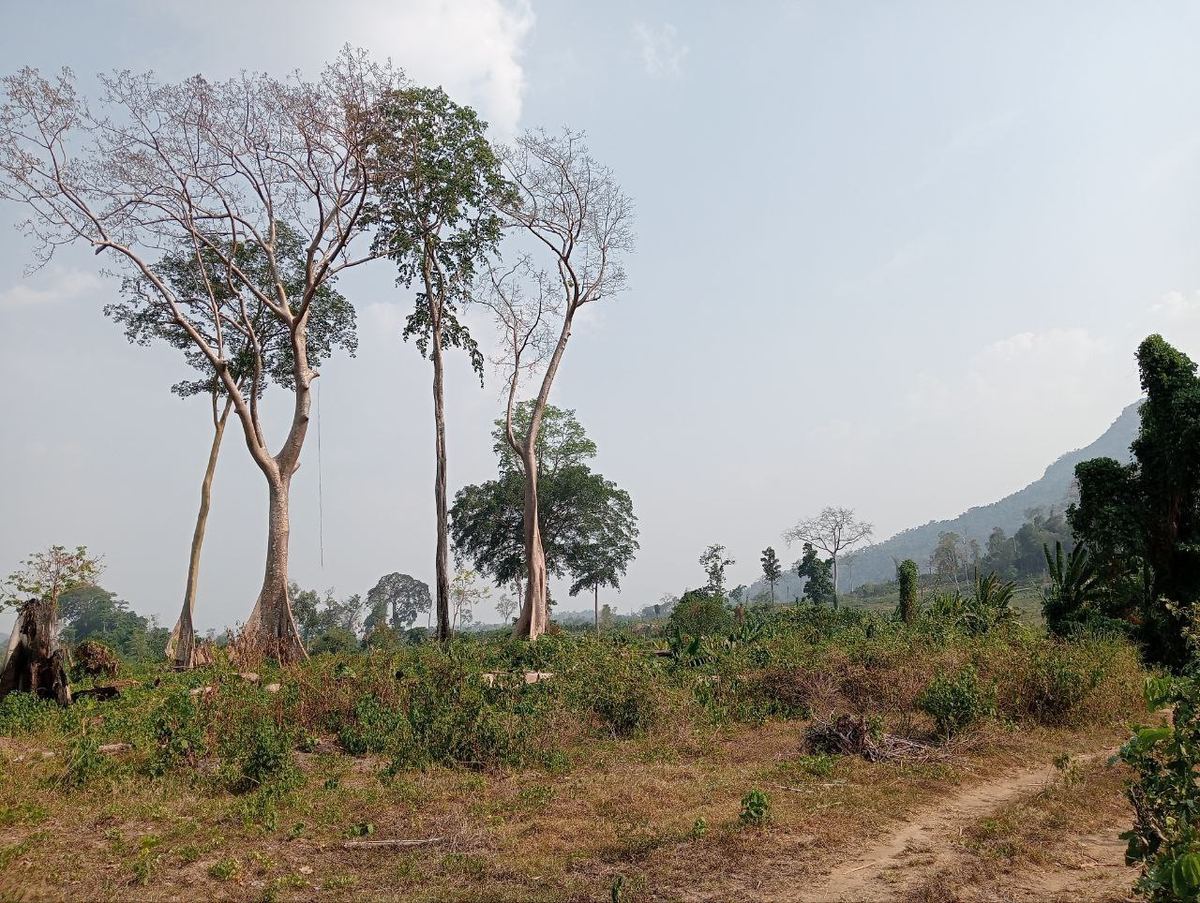 Volunteer experience in rural Cambodia